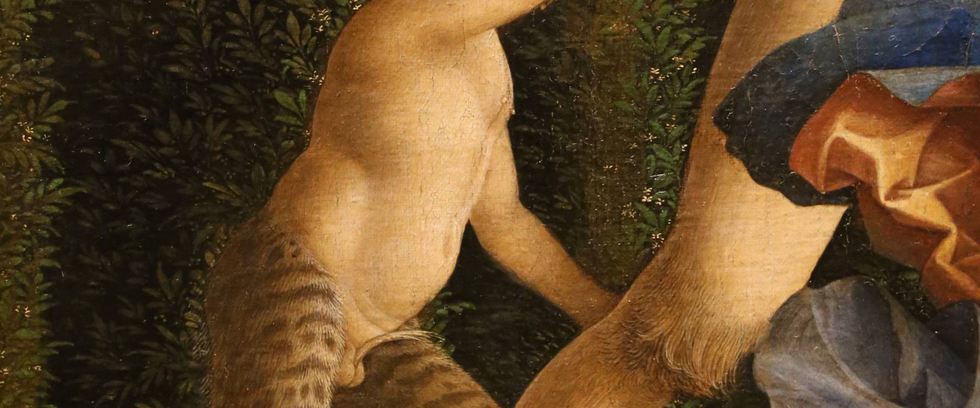 Andrea mantegna, minerva scaccia i vizi dal giardino delle virtù, 1497-1502 ca. (louvre) 20 foto di Sailko
